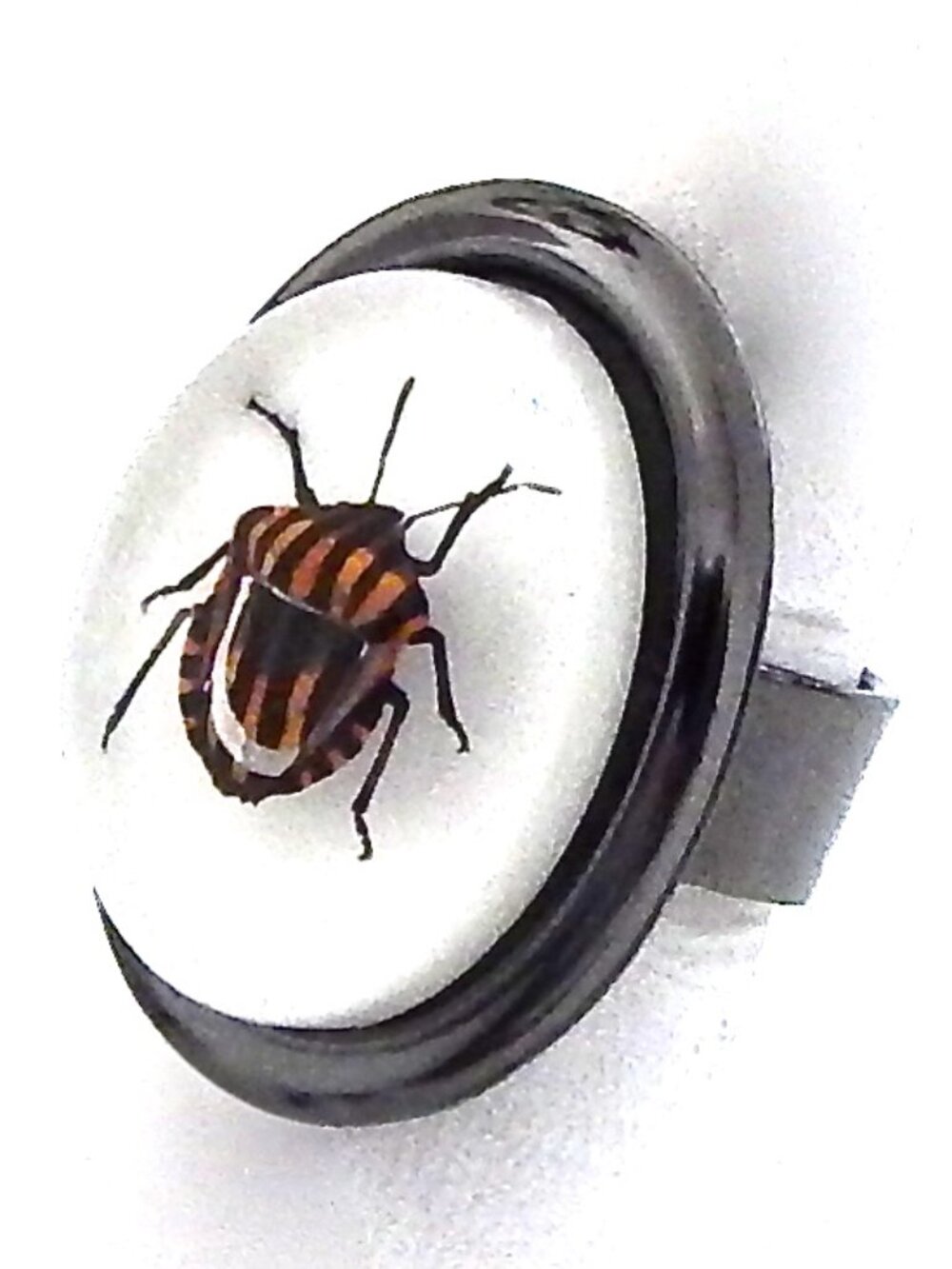 GASOLINE GLAMOUR STRIPE BUG MINI RING🪳🪳🪳 - Picture 2 of 7